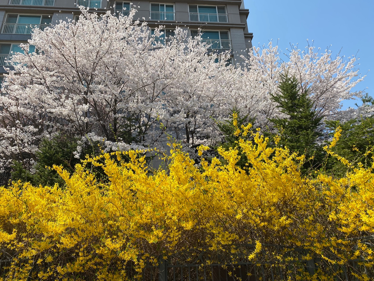 Meeting 9:30~11:30pm, Apr 4 (Sat)