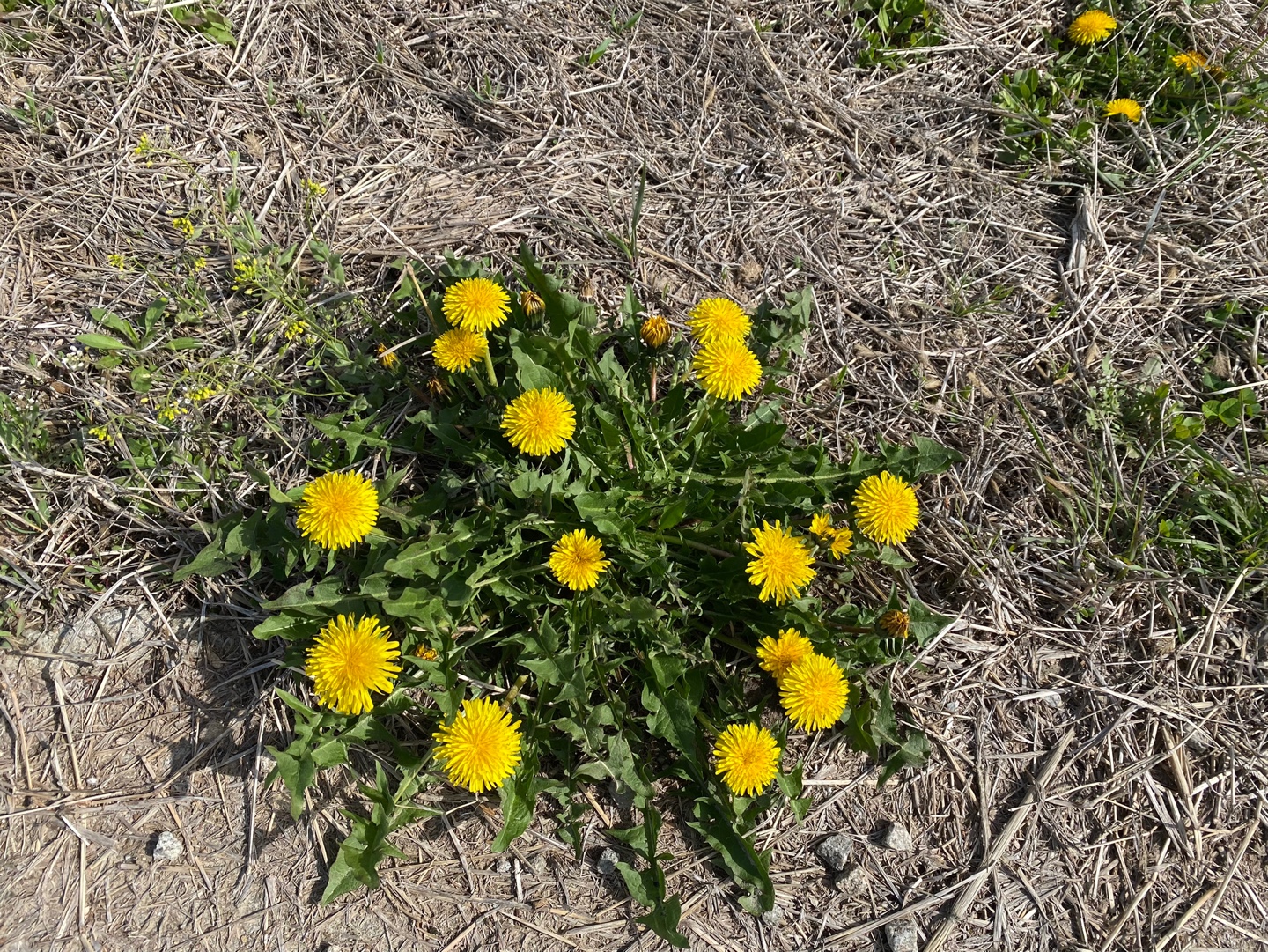 Meeting 9:30~11:30, Mar 7 (Sat)