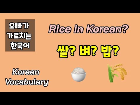 [Korean Vocabulary] 벼? 쌀? 밥? What is R..