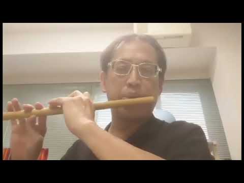 Holo Arirang (홀로 아리랑)